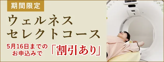 期間限定ウェルネスセレクトコース